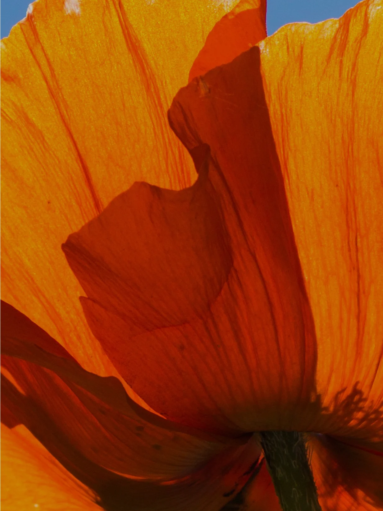 category-personal-growth