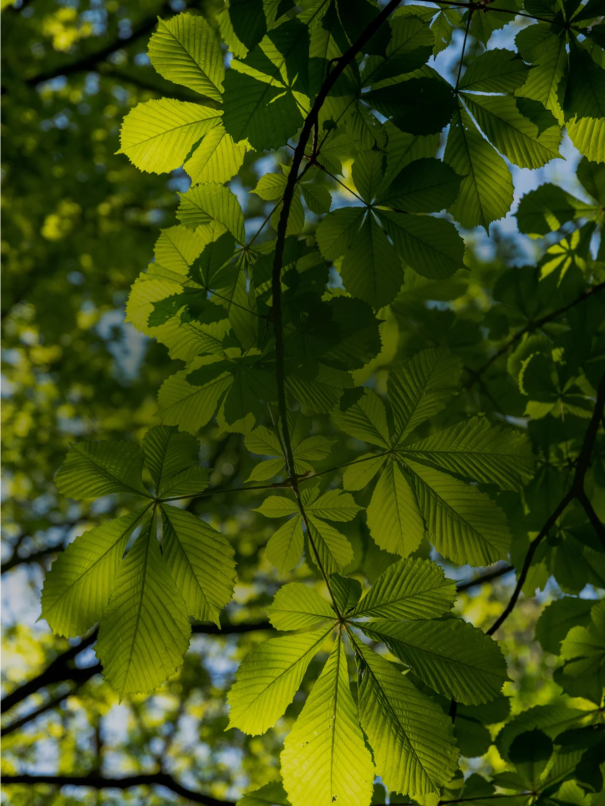 category-positive-mindset